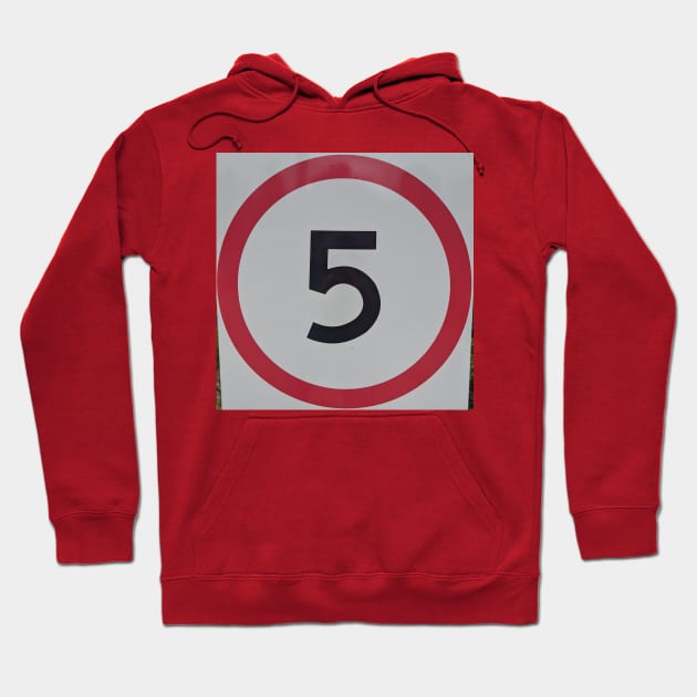 Speed Road Sign 5 Hoodie by PLANTONE